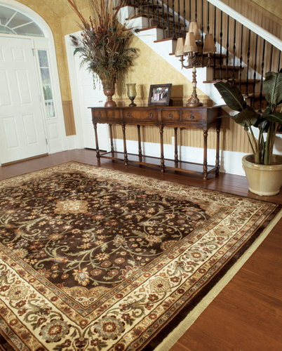 Area Rugs in Minnesota City, MN